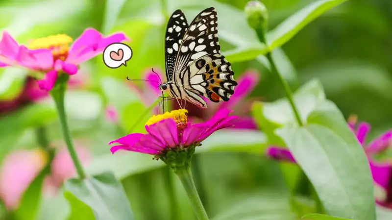 Hubungan Simbiosis Hewan dan Tumbuhan yang Jarang Diketahui