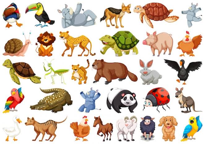 Kolase 10 hewan paling cerdas, termasuk simpanse, lumba-lumba, gajah, gagak, gurita, singa laut, anjing, burung beo, orangutan, dan tikus.